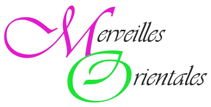 logo merveilles orientale inc